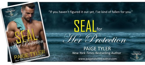 SEAL for Her Protection Teaser 10